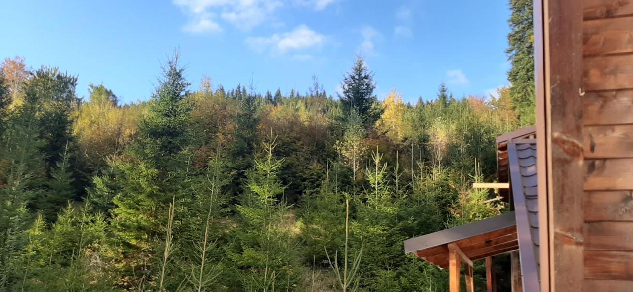 Lucas Duplex Lägenhet Azuga Exteriör bild