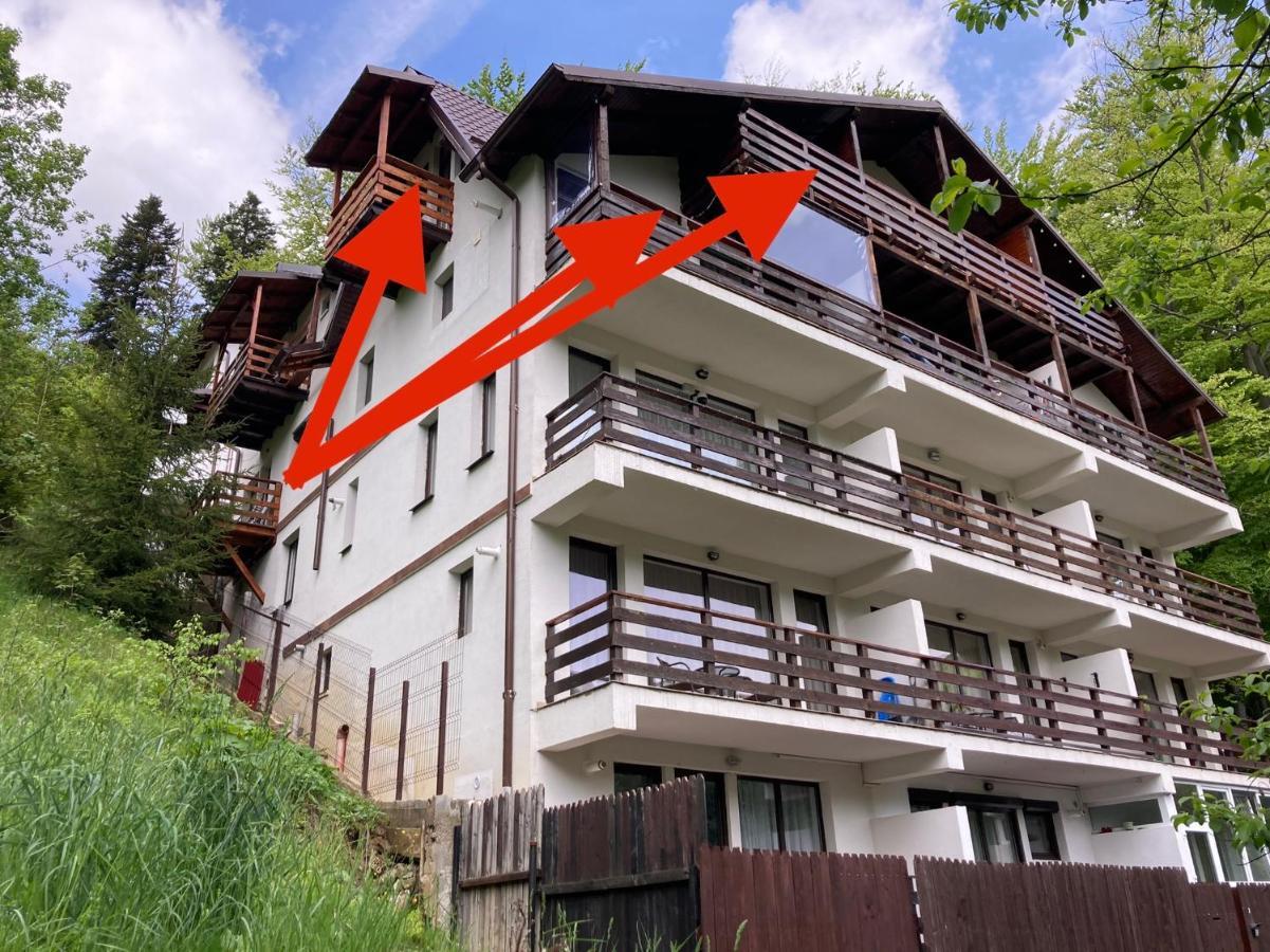 Lucas Duplex Lägenhet Azuga Exteriör bild