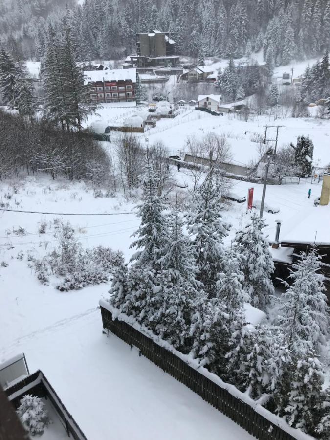 Lucas Duplex Lägenhet Azuga Exteriör bild